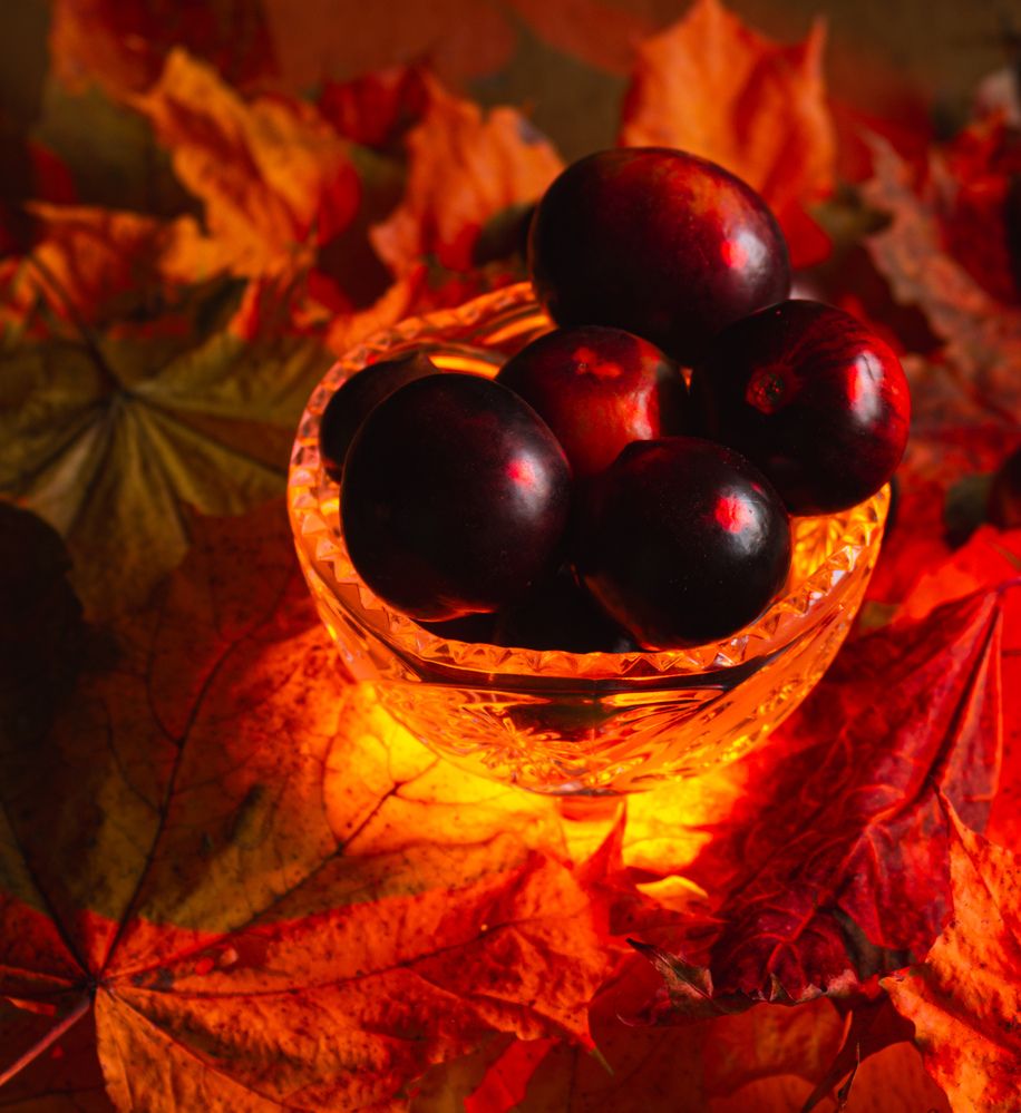 Photograph by Василий Богомолов