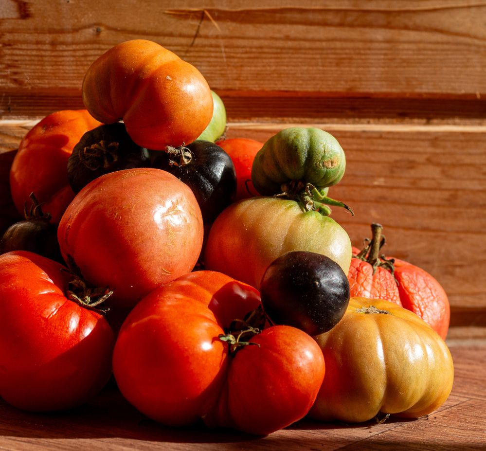 Photograph by Василий Богомолов