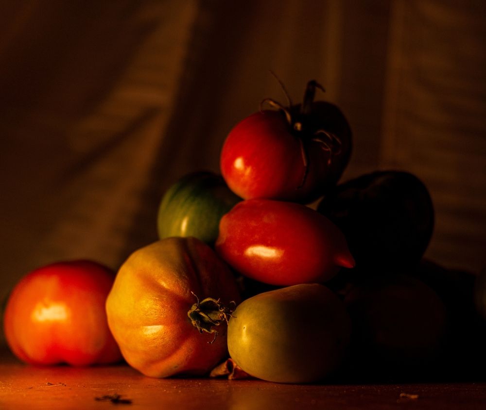 Photograph by Василий Богомолов