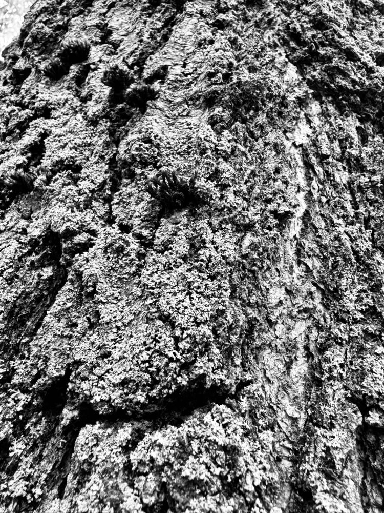 Photograph by Александр Аседач