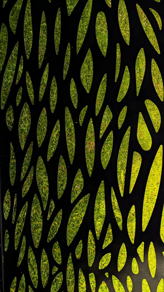 Photograph by Iryna Usanova