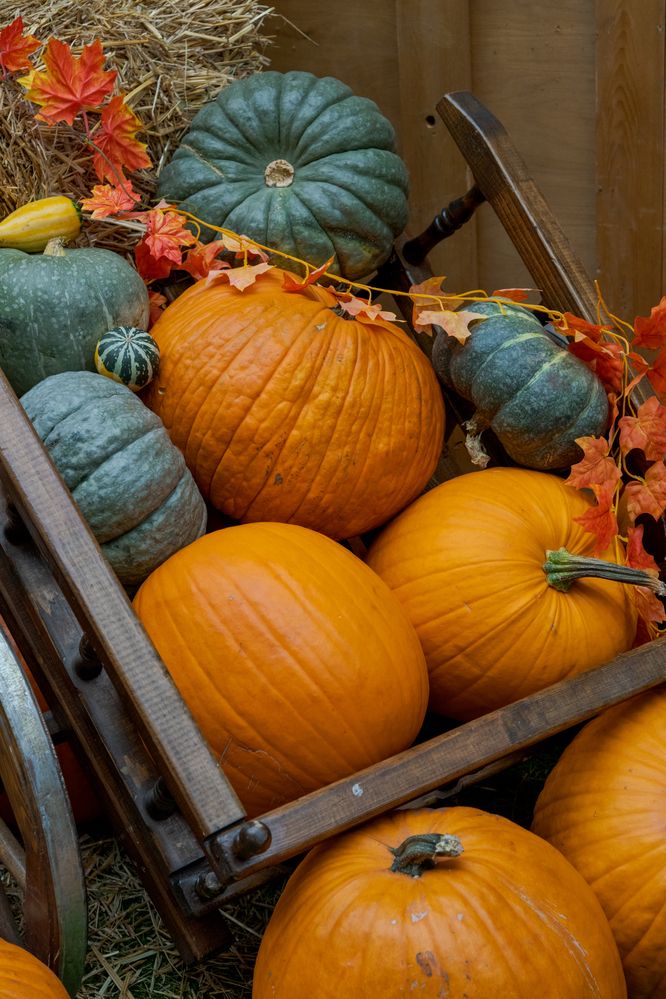 Photograph by Рыков Андрей