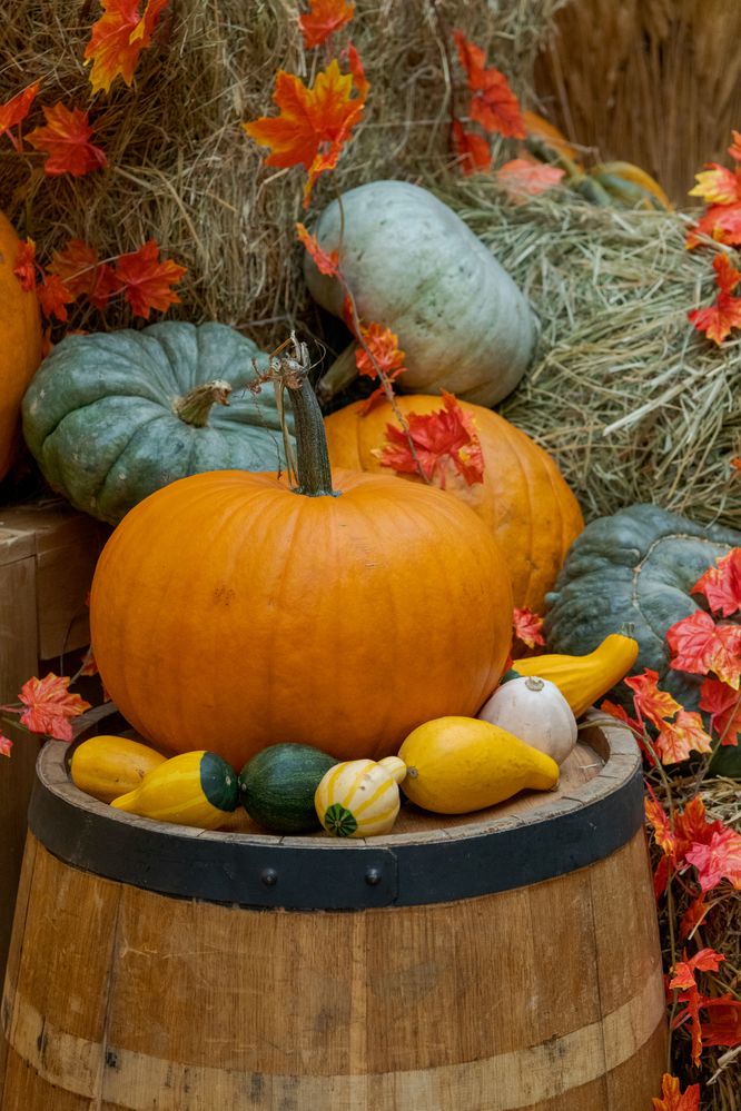 Photograph by Рыков Андрей