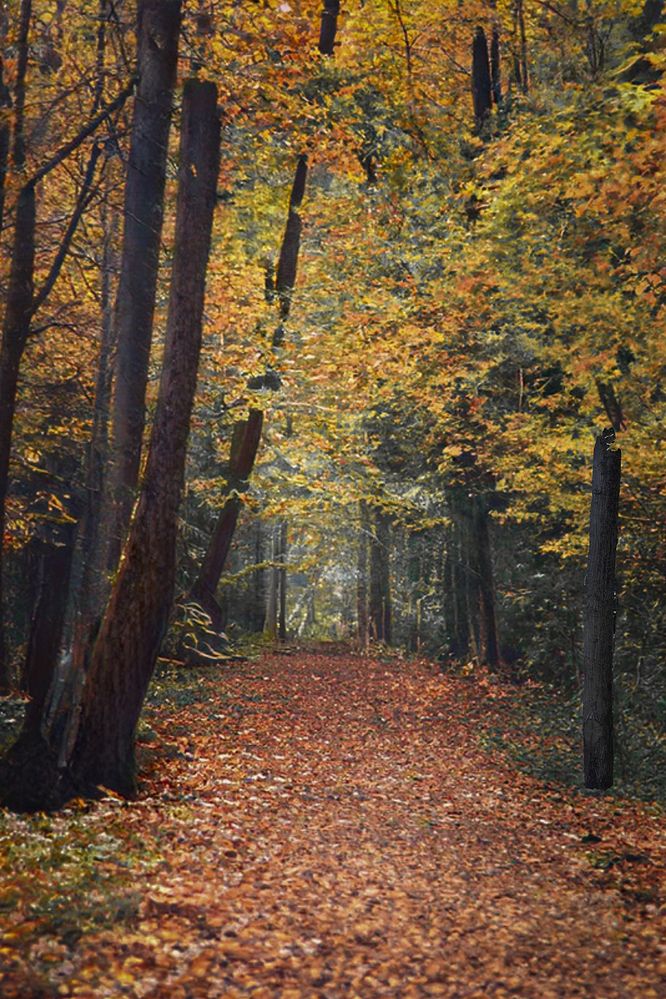 Photograph by Александр Ефисько