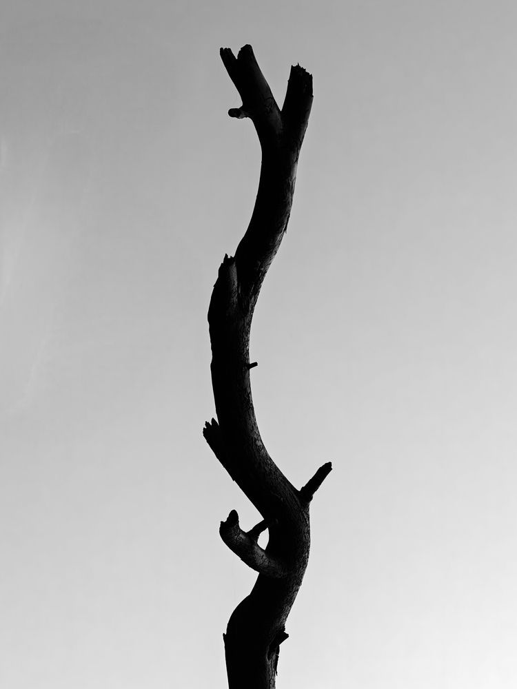 Photograph by Илья Цымбал