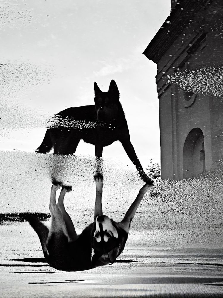 Photograph by Илья Цымбал