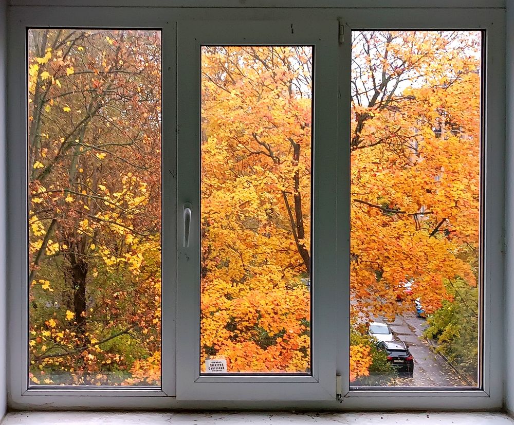 Photograph by Olga Kot