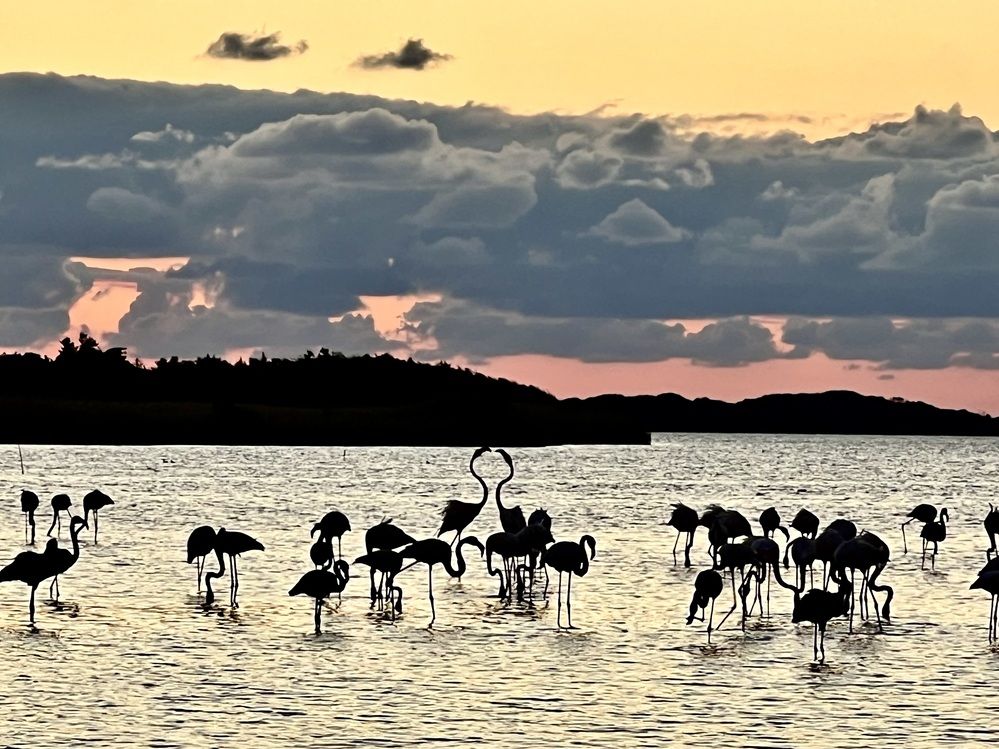 Photograph by Eleni Christogianni