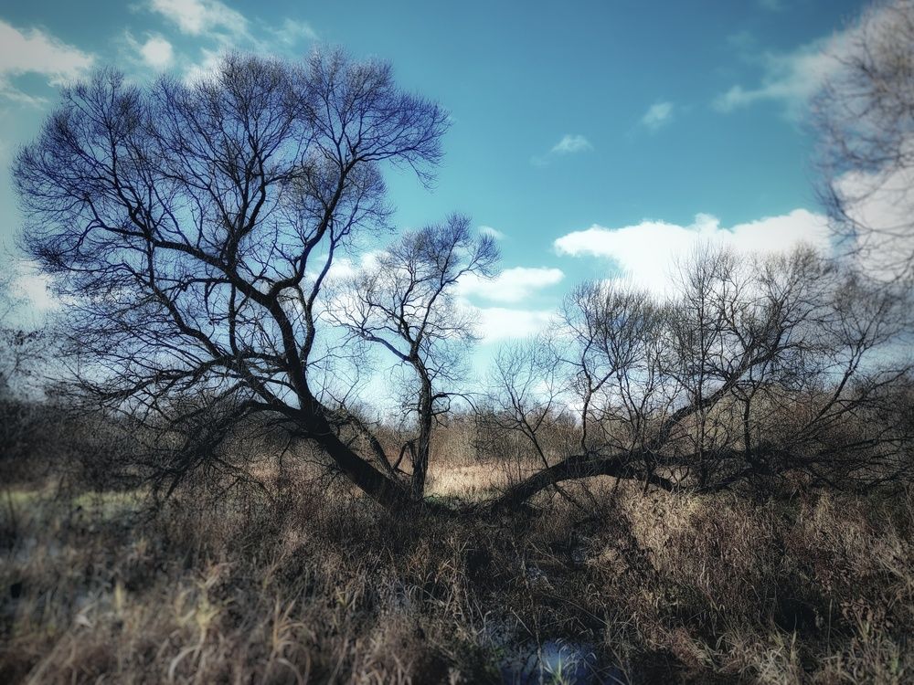 Photograph by Сергей Кулиев
