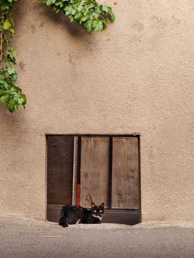 Photograph by Mostafa Moradi