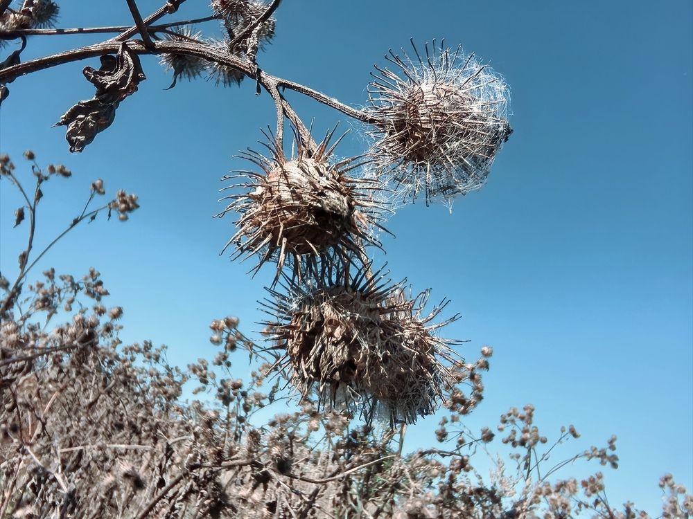 Photograph by Olga Kot