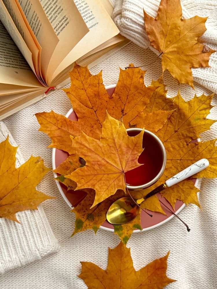 Дыхание осени