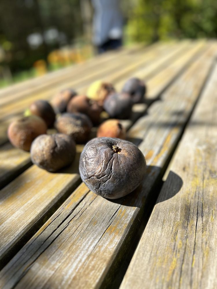 Photograph by Ольга Евтухова