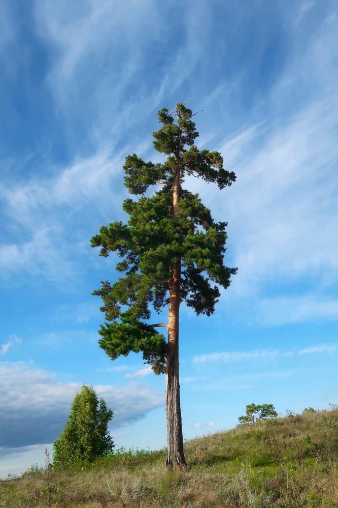 Photograph by Нина