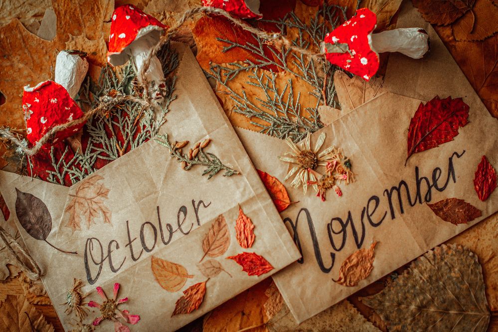 Photograph by Евгения Юркина