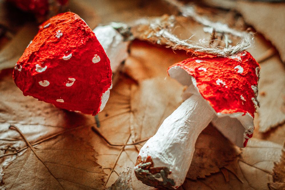 Photograph by Евгения Юркина