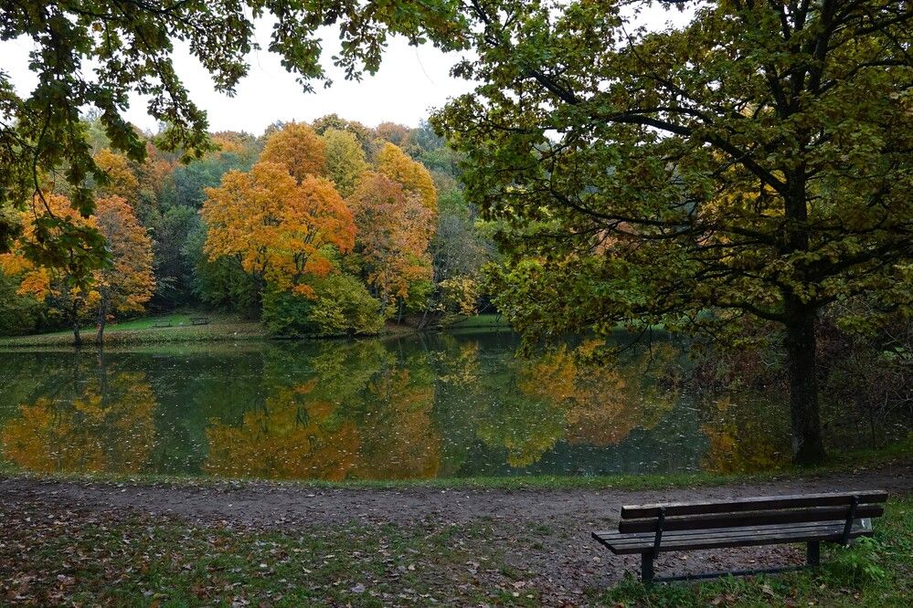 Photograph by jelena konickaja