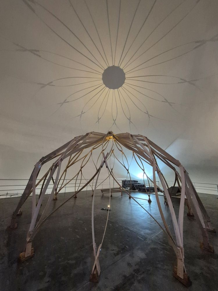 Photograph by Rosane Cortez