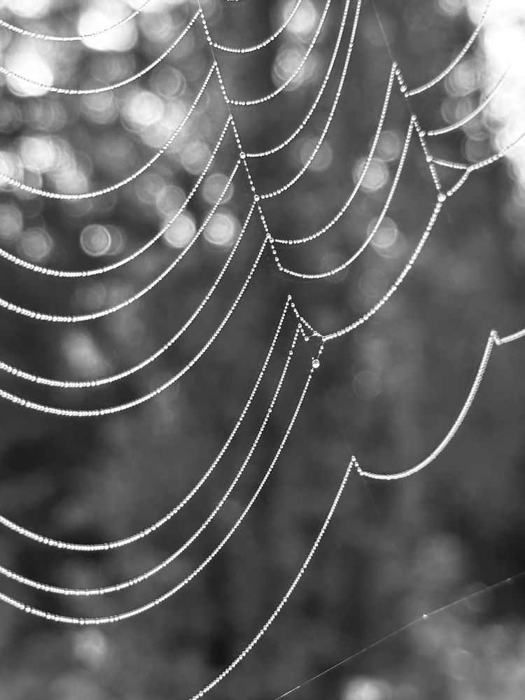 Photograph by Наумова Татьяна