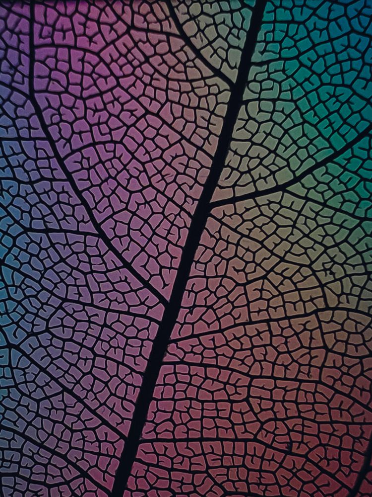 Photograph by Maria Stankevich