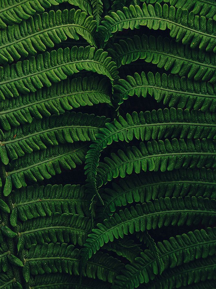 Photograph by Maria Stankevich