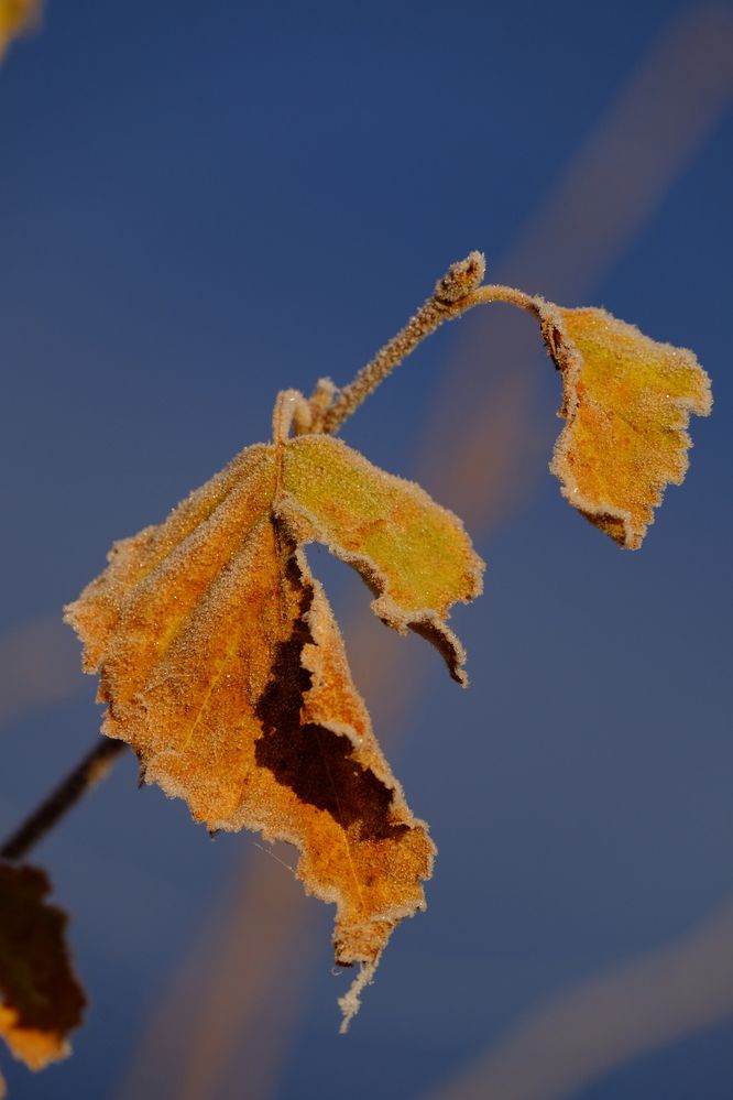 Photograph by Яна Бойко