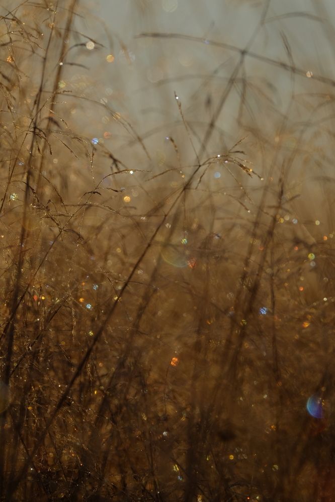 Photograph by Яна Бойко