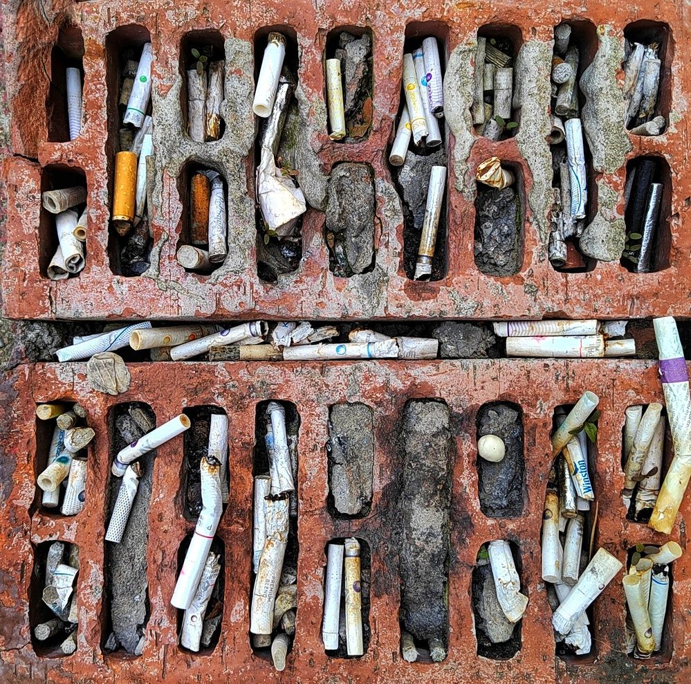 Photograph by Marina Mossiy