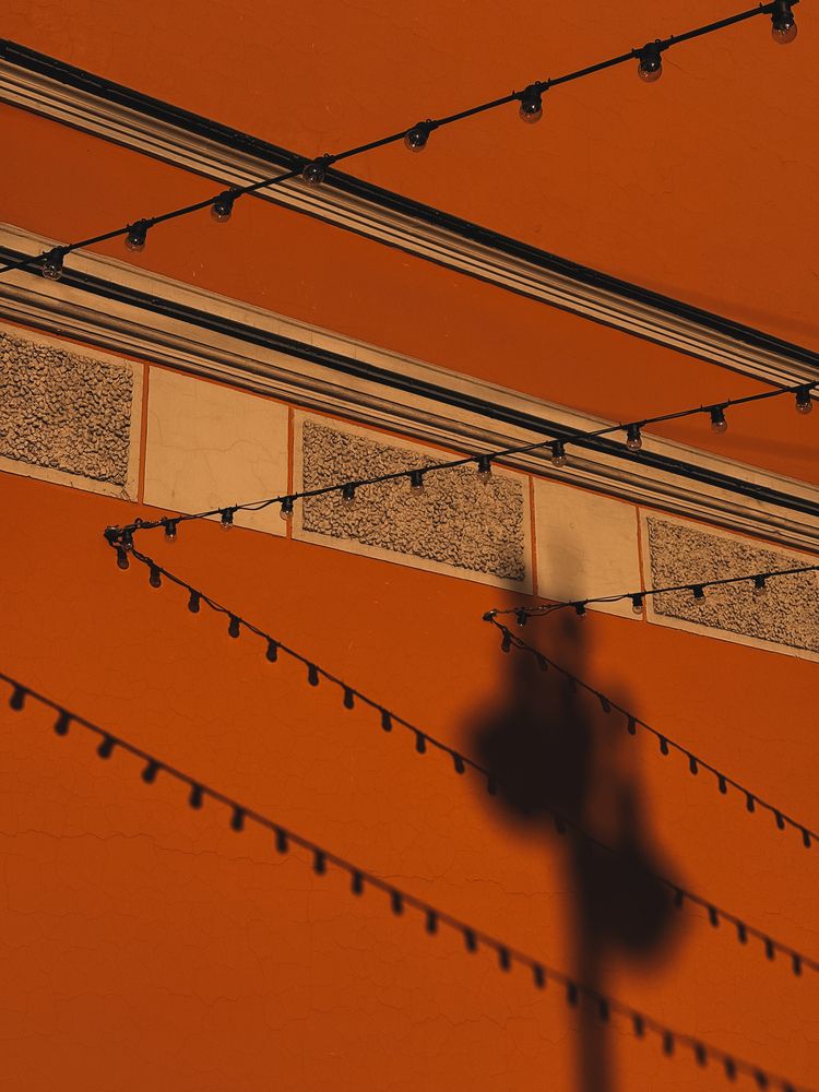 Photograph by Елена Михалева