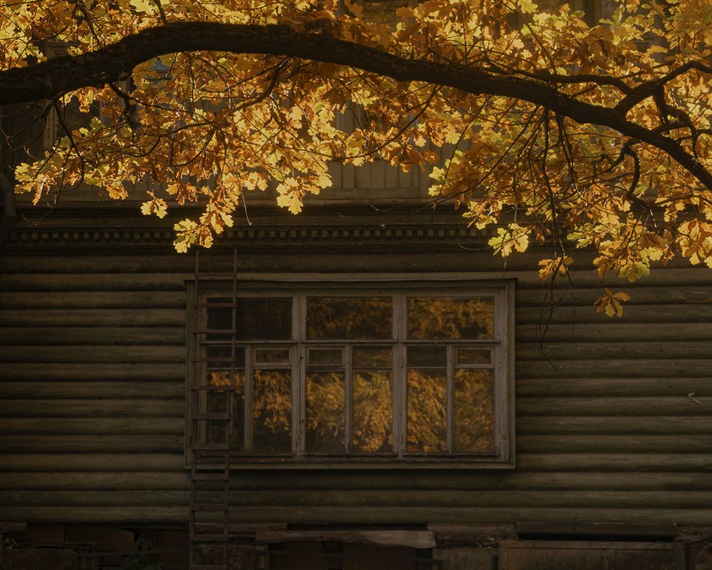 Photograph by Полина Маслова