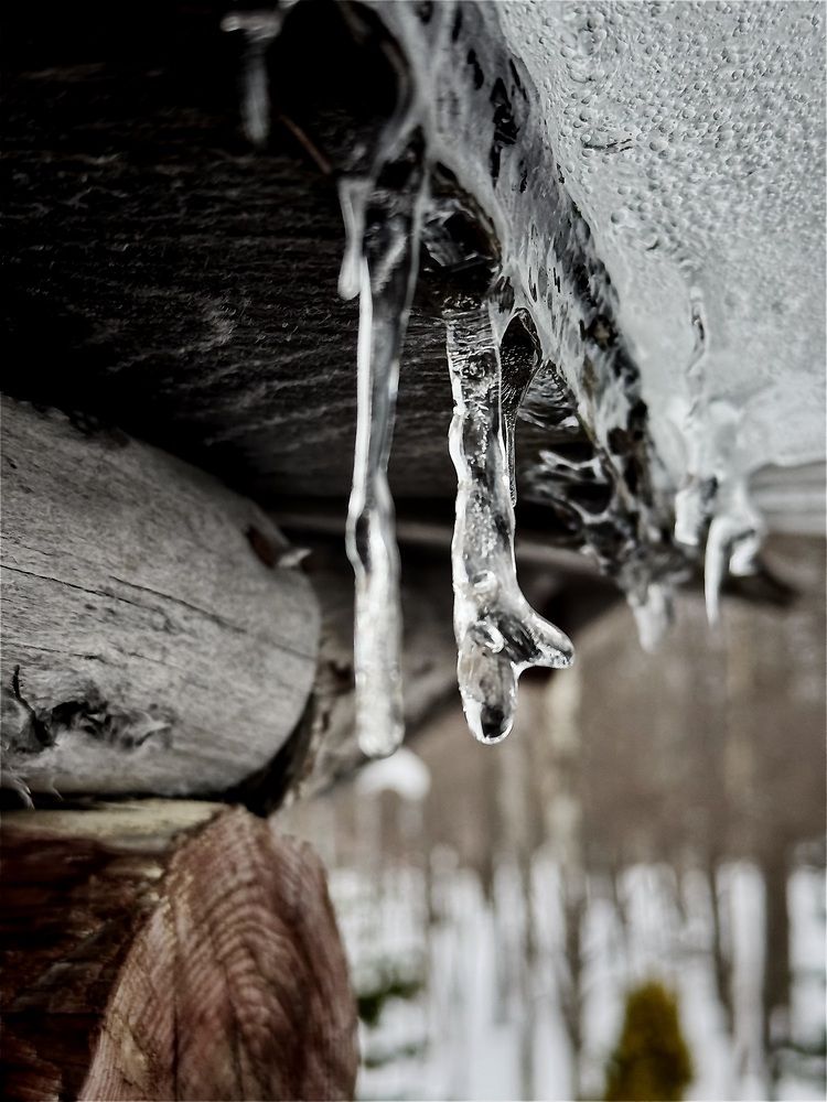 Photograph by Ленара Чекмарева