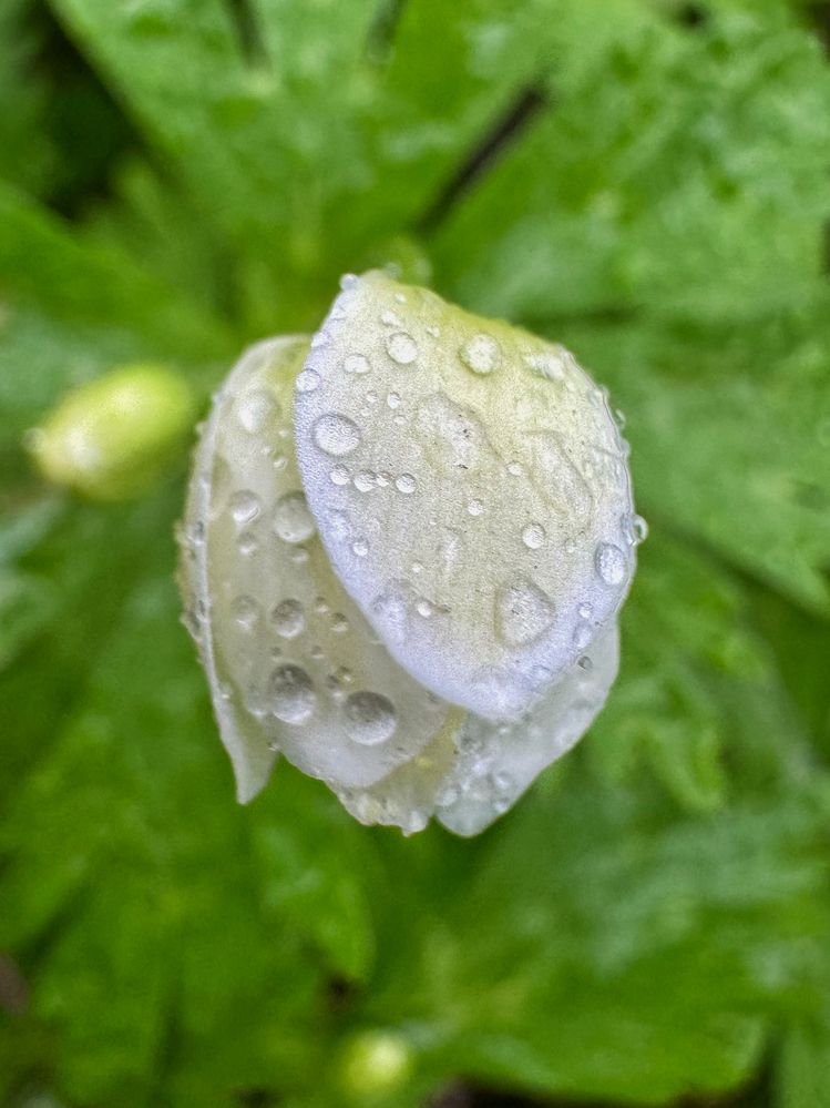 Photograph by Ленара Чекмарева