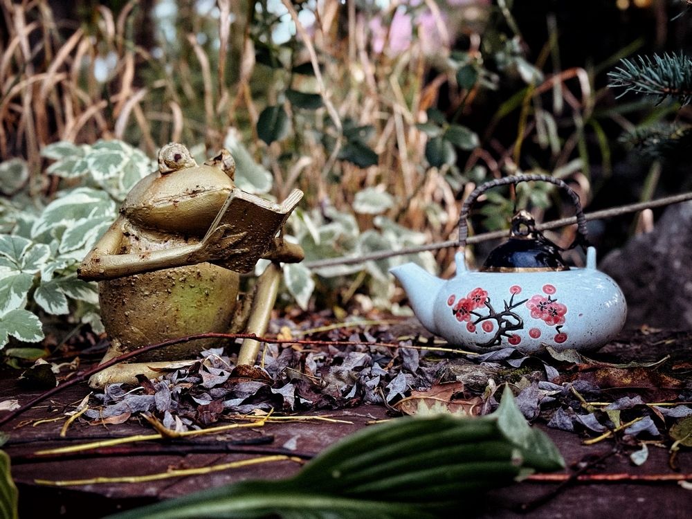 Photograph by Ленара Чекмарева