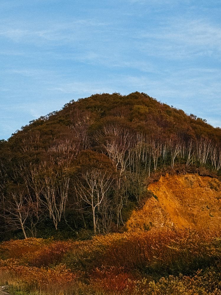 Photograph by LENARA