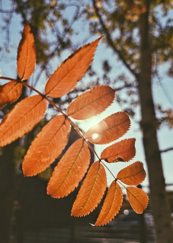 Photograph by Ленара Чекмарева