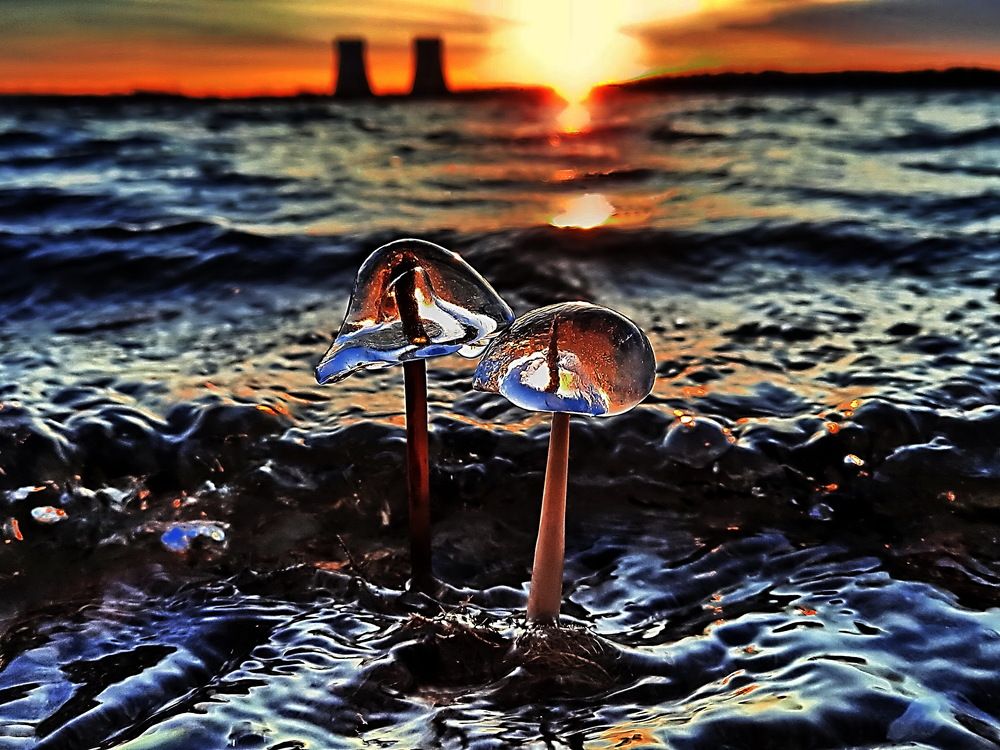 Photograph by Александр Лазебник