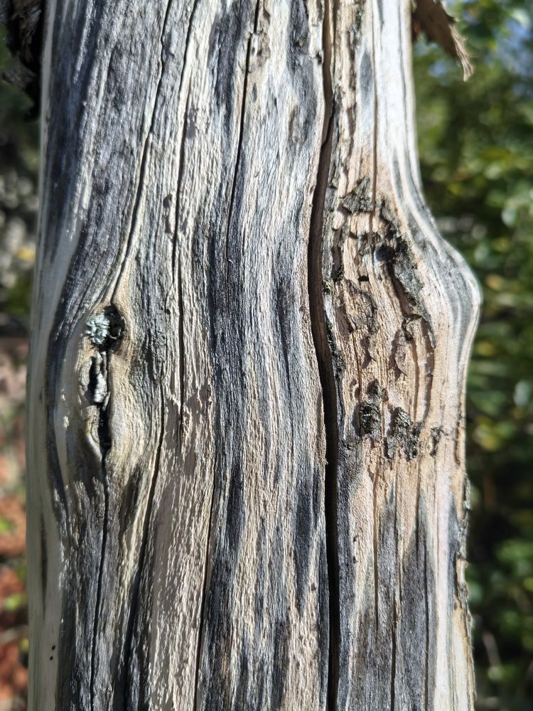 Photograph by Olga Kot