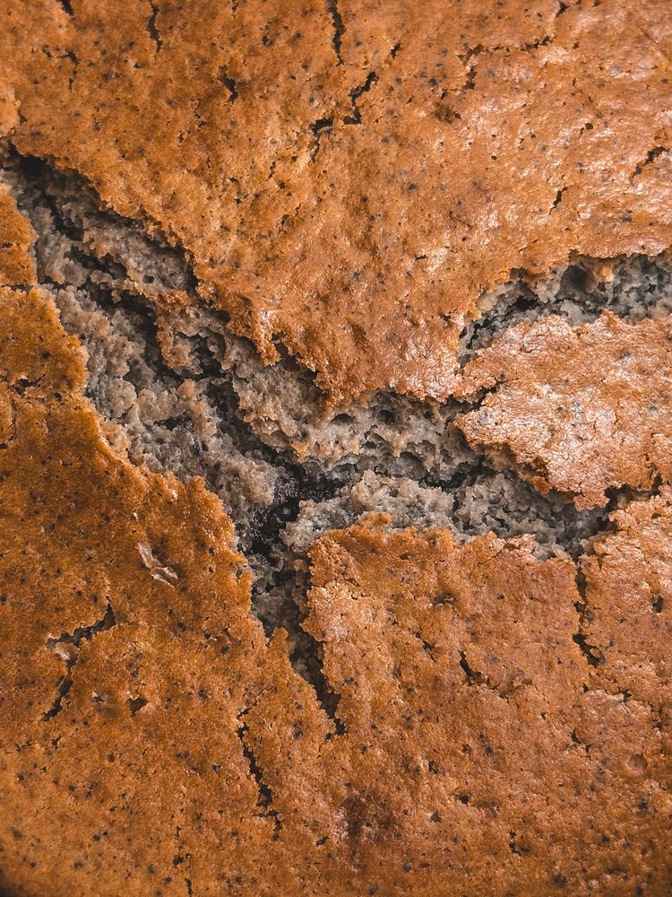 Фотография автора София