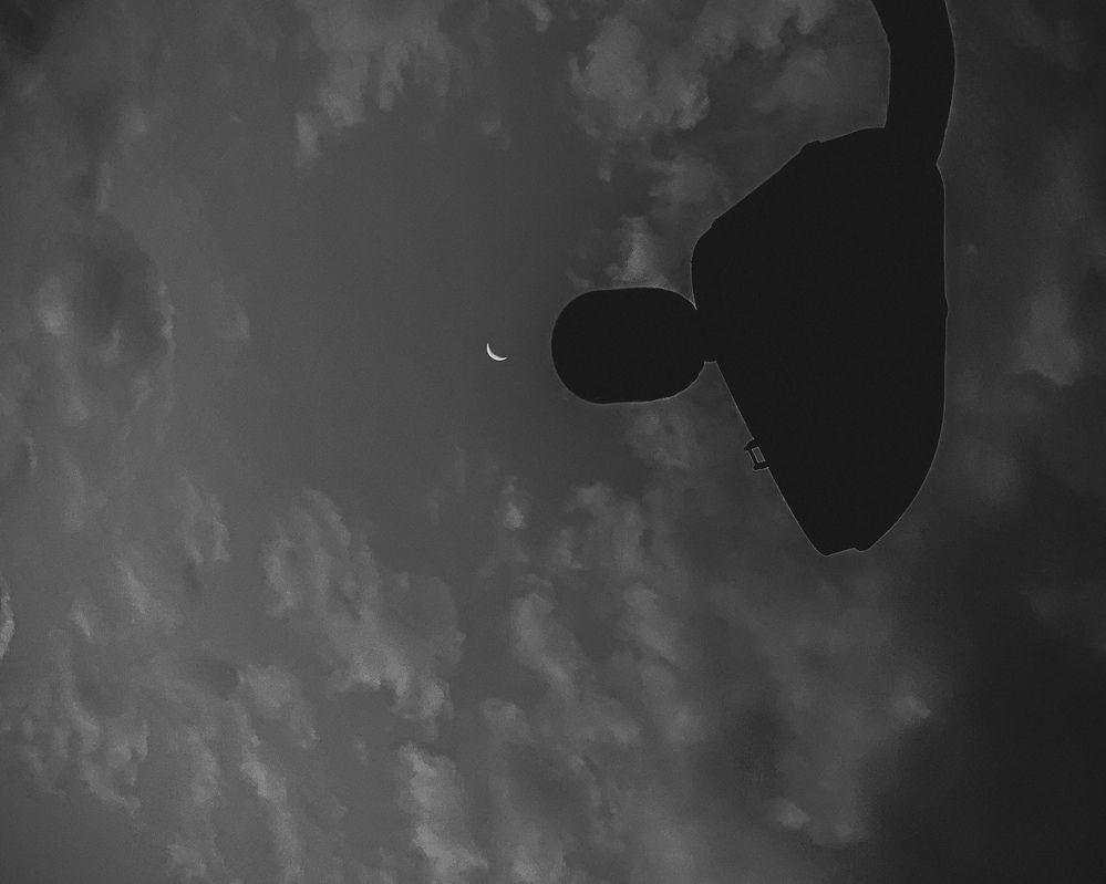 Photograph by Precious Williams