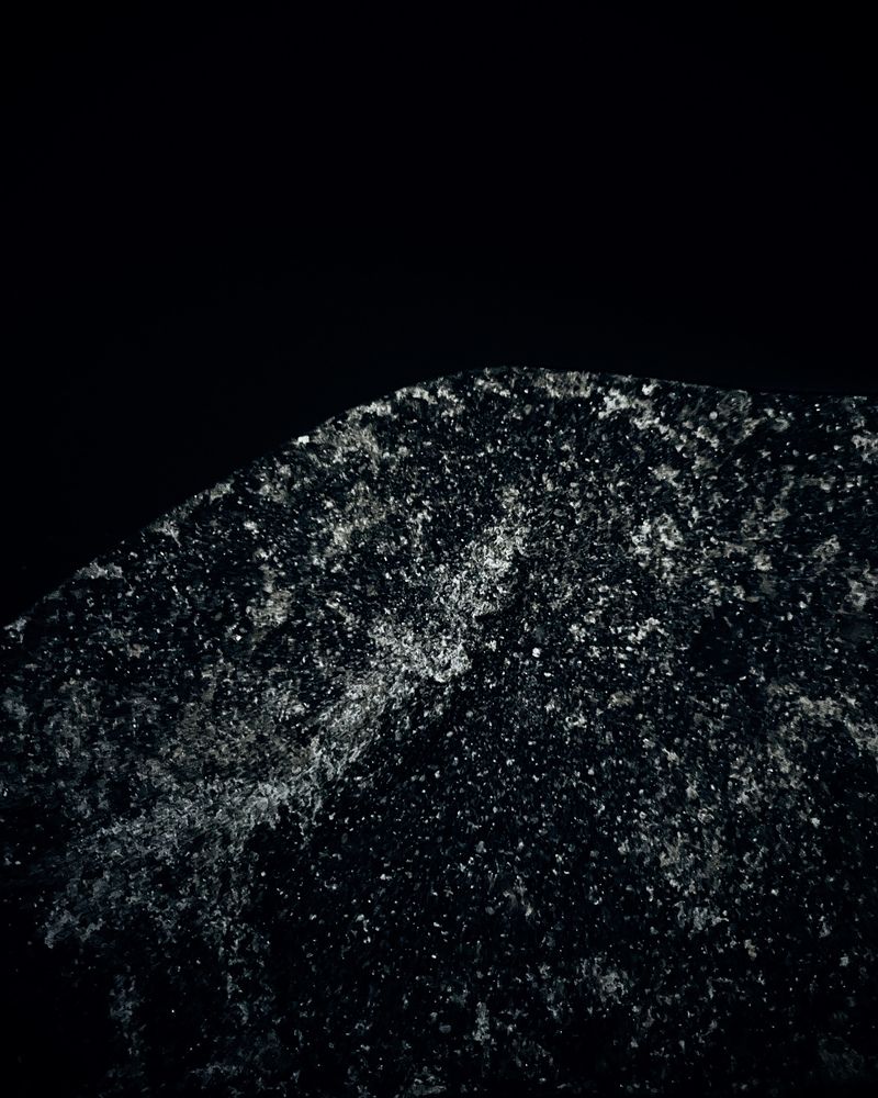 Photograph by Precious Williams