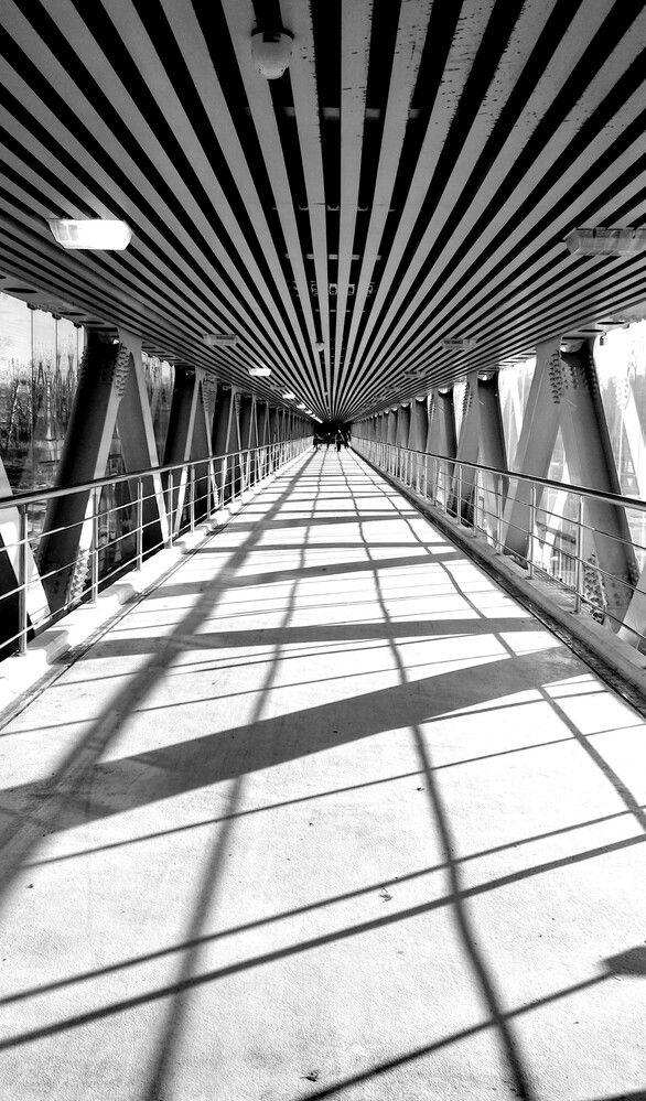 Photograph by Михаил Обертаев