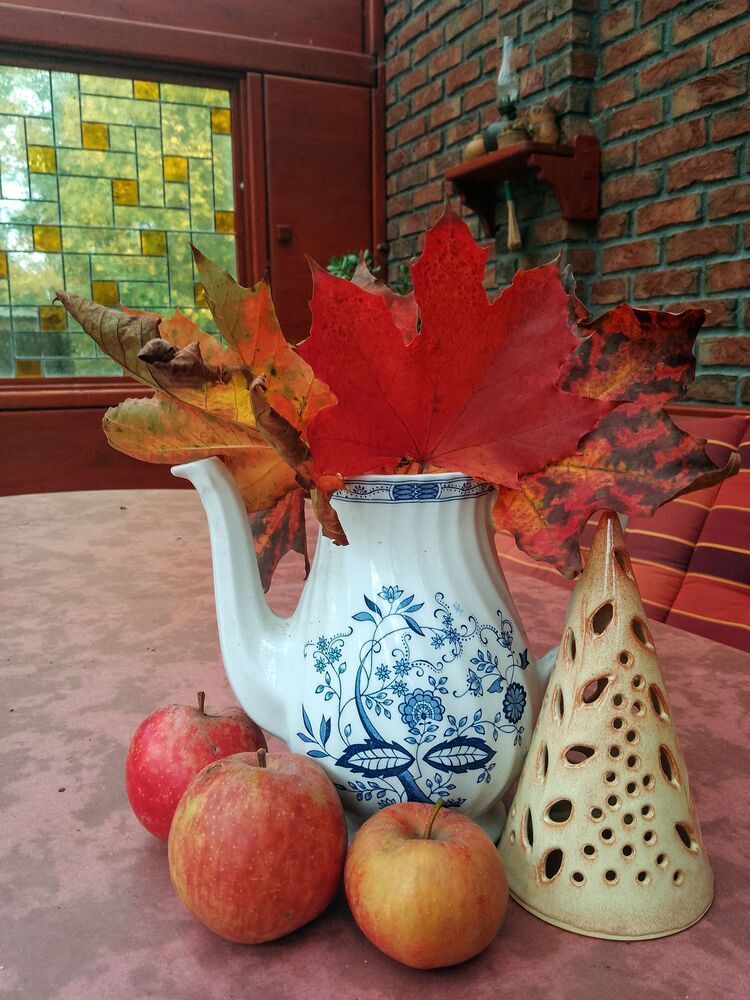 The colours of autumn