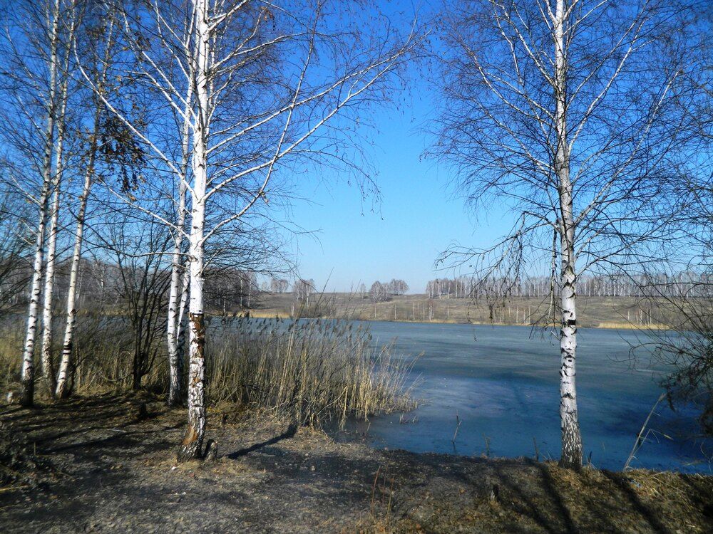 Photograph by Татьяна Гульпа