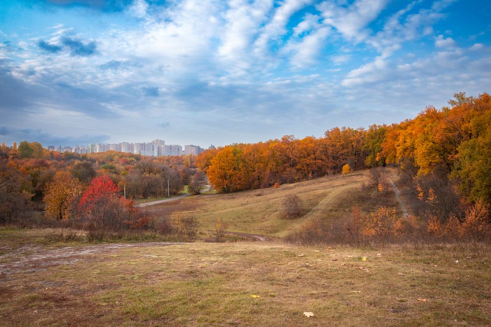 Photograph by Дмитрий Тимин