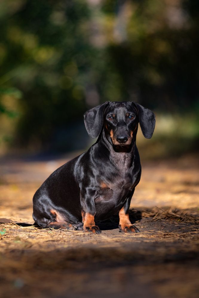 Photograph by Дмитрий Тимин