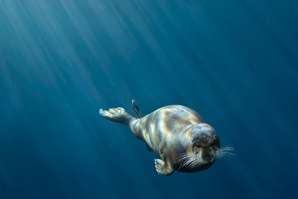 Photograph by Vladimir Ostapenko