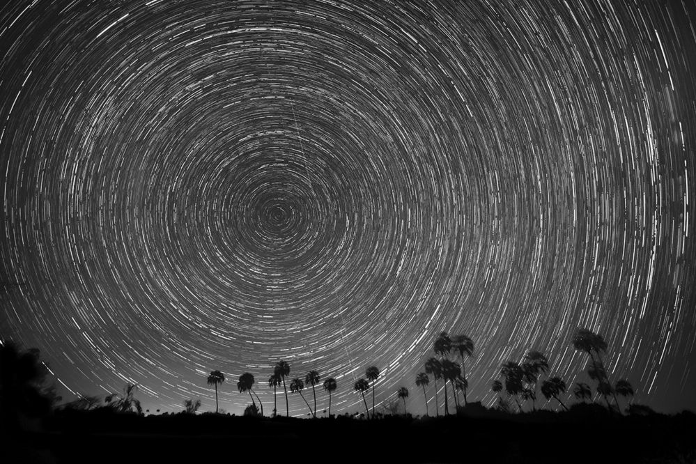 Фотография автора Marina Martorelli