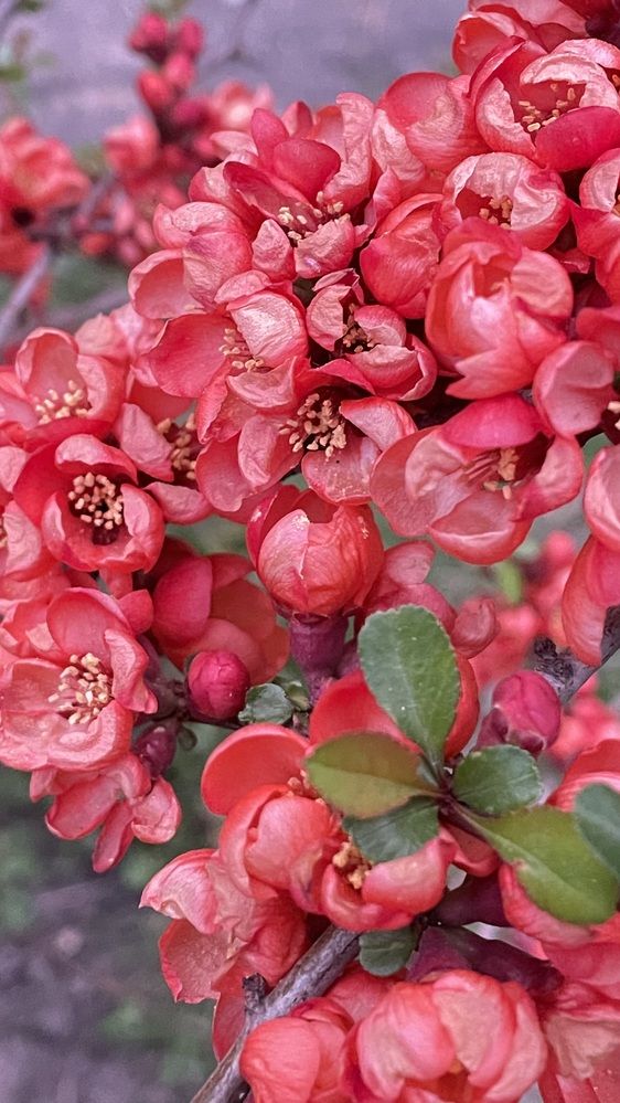 Photograph by Людмила Казак