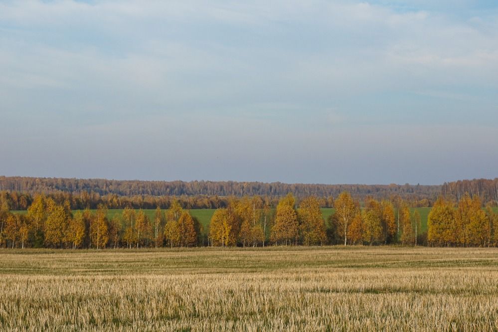 Золотая осень.