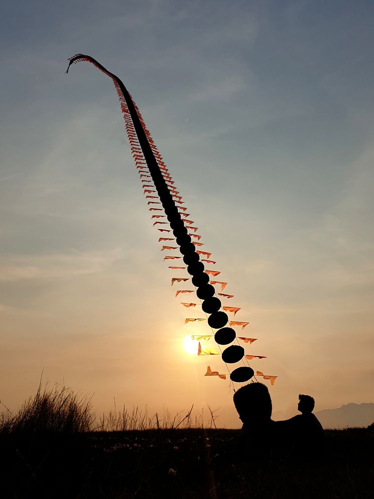 The Dragon has Been Tamed